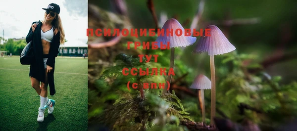mdma Вяземский