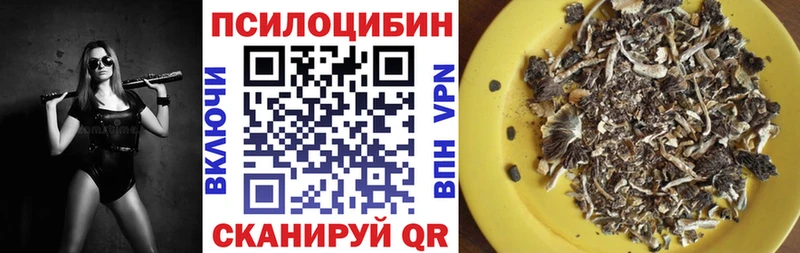 Галлюциногенные грибы Magic Shrooms  закладка  Новороссийск 